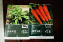 寿禾 三红胡萝卜种子水果罗卜籽蔬菜籽  潍育系列战将胡萝卜种子十克 实拍图