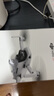 大疆 DJI Mini 4K 超高清迷你航拍無人機 三軸機械增穩(wěn)數(shù)字圖傳 新手入門級長續(xù)航遙控飛機 曬單實拍圖
