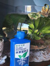 勝畫(huà)液肥魚(yú)缸水草營(yíng)養液水草專(zhuān)用肥不傷魚(yú)蝦草缸植物底肥綜合水草基肥 700ML 水草營(yíng)養液 曬單實(shí)拍圖