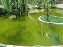 魚(yú)池過(guò)濾器不銹鋼箱水循環(huán)水泵系統室外魚(yú)池塘凈化過(guò)濾器材料凈水 80立方瀑布單箱（無(wú)水泵水管） 曬單實(shí)拍圖
