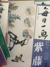 每日一畫：紫藤 曬單實拍圖