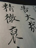 飛雪毛筆兼毫初學(xué)者書法專用知意成人毛筆字狼羊兼豪軟筆小中號(hào)中楷高級(jí)行書行草歐體顏楷柳趙楷書隸書湖筆 飛雪【兼毫1支裝】 曬單實(shí)拍圖
