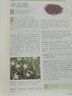 【官方正版】中草藥大全彩色圖解中草藥圖鑒大全中醫(yī)抓藥草藥方劑書(shū)籍飲食營(yíng)養(yǎng)食療中草藥鑒別常識(shí)手冊(cè)中醫(yī)基礎(chǔ)理論中草藥療法中草藥抓配書(shū) 中草藥大全彩色圖解 曬單實(shí)拍圖