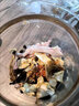 煲湯材料包燉雞湯調料廣東滋補湯料包1/2人食材小包裝燉盅燉湯料 12.任選5包【拍下備注編號即可】 曬單實(shí)拍圖