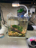 凡佰酷金晶超白魚缸定做訂制客廳魚缸 水族箱 任意鋼化玻璃水箱 15*15*18=4mm 金晶超白 當(dāng)天發(fā)貨+缸墊 曬單實拍圖
