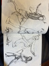 謝軍談速寫(xiě)6好方法教學(xué)速寫(xiě)書(shū)人物局部基礎(chǔ)入門(mén)臨摹五官單人動(dòng)態(tài)組合場(chǎng)景臨摹范本寫(xiě)生照片對(duì)畫(huà)高考藝校國(guó)美 曬單實(shí)拍圖
