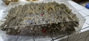 北京同仁堂 中藥材壁虎守宮 國(guó)產(chǎn)品守宮精選龍干活壁虎可打粉20克-500克 完整壁虎500g 曬單實(shí)拍圖