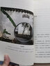 陳從周說(shuō)園 插圖珍藏版 長(cháng)江文藝出版社 陳從周 著(zhù) 書(shū)籍 曬單實(shí)拍圖