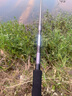 鉤鋒 大物夜光漂鰱鳙青魚(yú)鯉魚(yú)草魚(yú)魚(yú)漂日夜兩用電子漂加粗醒目磯釣漂遠(yuǎn)投巨物浮漂短身漂路滑 磯竿滑漂 遠(yuǎn)投夜光滑漂【加粗3目吃鉛約8克】可變色1只 曬單實(shí)拍圖