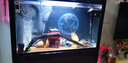 NYAQUARIUMNY水族魚(yú)缸活性炭過(guò)濾包凈水魔方神器水質(zhì)凈化去黃水除腥臭 凈水魔力盒*2 凈水 魔力盒魔方 曬單實(shí)拍圖