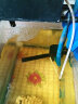 鱼缸过滤器三合一外置水泵冲氧泵增氧泵水族箱内置潜水泵金鱼缸乌龟缸过滤器 15w适合鱼缸长度50-60CM 实拍图