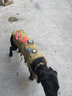 寵物自背包中大型犬工作犬戶外戰(zhàn)術(shù)背心馱包金毛德牧馬犬外出背包 CP/迷彩套裝 L 曬單實(shí)拍圖