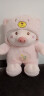 田兔可爱小猪公仔玩偶布娃娃毛绒玩具猪猪床上抱着睡觉抱枕超萌生日礼物女生 粉红色 55厘米 实拍图