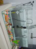 SEA STAR 鱼缸桌面透明热弯方形玻璃生态金鱼缸乌龟缸客厅小型迷你水族箱 450*260*270标配 实拍图