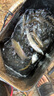 佳釣尼（JIADIAONI）【門(mén)店同款】天行者輕量版碳素釣魚(yú)竿臺釣竿輕休閑野釣竿手竿魚(yú)竿 5.4m 天行者輕量版  門(mén)店同款 曬單實(shí)拍圖