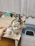 咪貝萌 小飛蟲逗貓棒cfa賽級(jí)專用高端彈簧玩具小貓咪訓(xùn)練指揮棒拍照神器 小飛蟲逗貓棒橙色配4個(gè)頭 均碼 曬單實(shí)拍圖