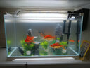 森森 魚(yú)缸水族箱超白玻璃烏龜缸 生態(tài)敞開(kāi)式桌面水族箱 LED水草缸HWK 500+HBL403+6.5W燈+造景ZJ46 曬單實(shí)拍圖