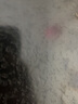 馬勒MAHLE空濾/空氣格/空氣濾芯/濾清器LX3809適配 大眾朗逸1.6 (14-17款) 曬單實(shí)拍圖