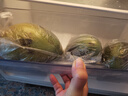 攀枝花凱特芒果10斤新鮮水果芒果當季水果整箱芒果青皮大芒果甜心 10斤精選果【單果400-500g起】 曬單實拍圖