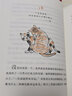 小貓凱蒂和她的四條命 精裝 學生課外閱讀 推薦閱讀 兒童文學 圖書 曬單實拍圖