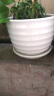裕轩堂陶瓷花盆个性特大号创意多肉室内简约吊兰绿萝家用阳台绿植带托盘 84015-白 14厘米左右 实拍图