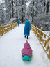 Boelter 加厚耐磨雙人滑雪板單板兒童劃草板劃草墊成人滑沙板雪爬犁雪橇車(chē)雪地神器滑雪板套裝 托帕綠加厚企鵝款（72CM）+禮包 曬單實(shí)拍圖