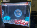 寶貝故事（BABY STORY）金晶五線(xiàn)超白魚(yú)缸水族箱 生態(tài)魚(yú)缸溪流缸桌面魚(yú)缸定制水草缸整套 60*40*45缸加過(guò)濾加燈加蓋子8mm 不帶實(shí)木架子 曬單實(shí)拍圖