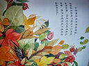 保冬妮繪本昆蟲館:夏天有過(guò)一只蟬（精裝） 曬單實(shí)拍圖
