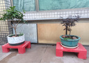 樂(lè)企塑料托盤防潮板墊倉(cāng)板超市地堆倉(cāng)庫(kù)棧板卡板醫(yī)院網(wǎng)格墊高底座 藍(lán)色40*40*12cm平板四腳 加厚款 曬單實(shí)拍圖