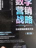 數字營(yíng)銷(xiāo)戰略：在線(xiàn)營(yíng)銷(xiāo)的整合方法（第2版） 曬單實(shí)拍圖