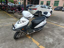 王野摩托車(chē)宇鉆踏板車(chē)比亞倫牌新尚領(lǐng)燃油車(chē)國四電噴125男女款可上牌 白色  長(cháng)鈴牌新宇鉆 有上牌證件 曬單實(shí)拍圖