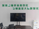 小米電視65英寸S Pro mini金屬全面屏4K超高清120Hz高刷新率智能家用液晶平板電視機(jī) 65英寸 Redmi移動(dòng)辦公電視 曬單實(shí)拍圖
