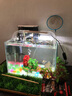 森森（SUNSUN） 魚缸燈LED燈 水族箱照明燈 魚缸夾燈 草缸燈  水族照明設(shè)備 ADP160C配21-25cm魚缸2W 曬單實(shí)拍圖