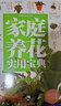 正版 家庭養(yǎng)花實(shí)用寶典 植物圖鑒 植物書籍大全 養(yǎng)花書籍種花大全 花卉養(yǎng)殖書籍 花卉書籍圖書大全 曬單實(shí)拍圖