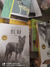 動(dòng)物小說(shuō)大王沈石溪經(jīng)典愛(ài)藏版 紅豺 童書(shū) 故事書(shū) 課外書(shū) 正版  曬單實(shí)拍圖