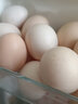 香丹青農家田園新鮮土雞蛋30枚40枚 雜糧喂養笨雞蛋草雞蛋特產(chǎn)生鮮雞蛋 30枚 曬單實(shí)拍圖
