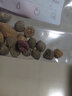 寸金三色蔬果陸龜糧陸龜半水龜通用飼料纖維糧蘇卡達紅腿黃腿 560g瓶裝 曬單實拍圖