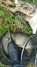 盈龍 爆炸鉤防掛底熒光魚(yú)鉤伊勢尼彈簧釣魚(yú)鉤有倒刺套裝海竿拋竿爆炸餌漁具配件 垂釣用品 熒光色 熒光鉤7號（一盒4只裝） 曬單實(shí)拍圖