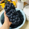 夏黑無籽葡萄現(xiàn)摘黑蜜整串裝新鮮水果孕婦當(dāng)季時令水果禮盒 精選夏黑 吃過癮3斤裝 曬單實拍圖
