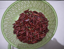 貴州遵義正宗農(nóng)家干辣椒特產(chǎn)干辣椒香辣特辣火鍋炒菜干辣椒朝天椒 香辣試吃裝 100g 【二兩】 曬單實(shí)拍圖