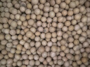 25年新黃豆東北發(fā)豆芽的黃豆散裝發(fā)黃豆芽專(zhuān)用豆黑龍江生豆大黃豆 高質(zhì)量黃豆(5斤)新豆 黑龍江 曬單實(shí)拍圖