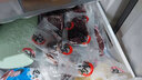 領(lǐng)食鮮生 澳洲進(jìn)口和牛M9菲力原切牛排 兒童牛柳雪花牛肉生鮮牛扒源頭直發(fā) M9菲力【500g] 曬單實(shí)拍圖