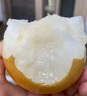 悠軼山東萊陽秋月梨子冰糖豐水雪梨脆甜現(xiàn)摘新鮮水果中秋禮盒 凈重4.5斤家庭裝【單果7-8兩起】 A+級頭茬現(xiàn)摘 曬單實拍圖