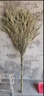 易工鼎 大掃把 學(xué)校工廠(chǎng)戶(hù)外環(huán)衛竹掃把馬路物業(yè)柏油道路庭院地面掃雪清潔掃帚 3.5斤竹枝連體 曬單實(shí)拍圖