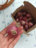 新鮮東北毛蔥頭鬼子蔥農(nóng)家特產(chǎn)小洋蔥頭迷你圓紅蔥頭新蔥整箱批發(fā) 精選 3斤 【凈重2.5-3斤】 曬單實(shí)拍圖