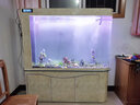 云峰海瑞魚缸造景套餐魚缸裝飾活體水草泥陶粒砂底砂對葉牛毛水草種子 杜鵑根造景 100cm套餐 曬單實拍圖