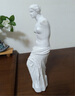 ZSTO 大衛人頭石膏雕塑擺件北歐ins風(fēng)素描迷你小石膏像創(chuàng  )意桌面裝飾品 白勝利女神 曬單實(shí)拍圖