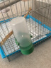 威毕鹦鹉鸟用饮水器小鸟鸟笼芦丁鸡自动下料喂鸟器喂食喂水壶鸟食食盒 绿鸟饮（小号） 实拍图