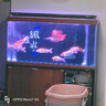 森森（SUNSUN）魚(yú)缸大型底過(guò)濾龍魚(yú)缸生態(tài)水族箱超白玻璃客廳龍魚(yú)缸 剛果柚木 1.5米長(zhǎng)x41.5寬x缸高80柜高74超白靠墻款 曬單實(shí)拍圖