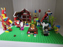 乐高（LEGO）积木拼装 11023 绿色底板 4岁+男孩女孩儿童玩具生日礼物 实拍图